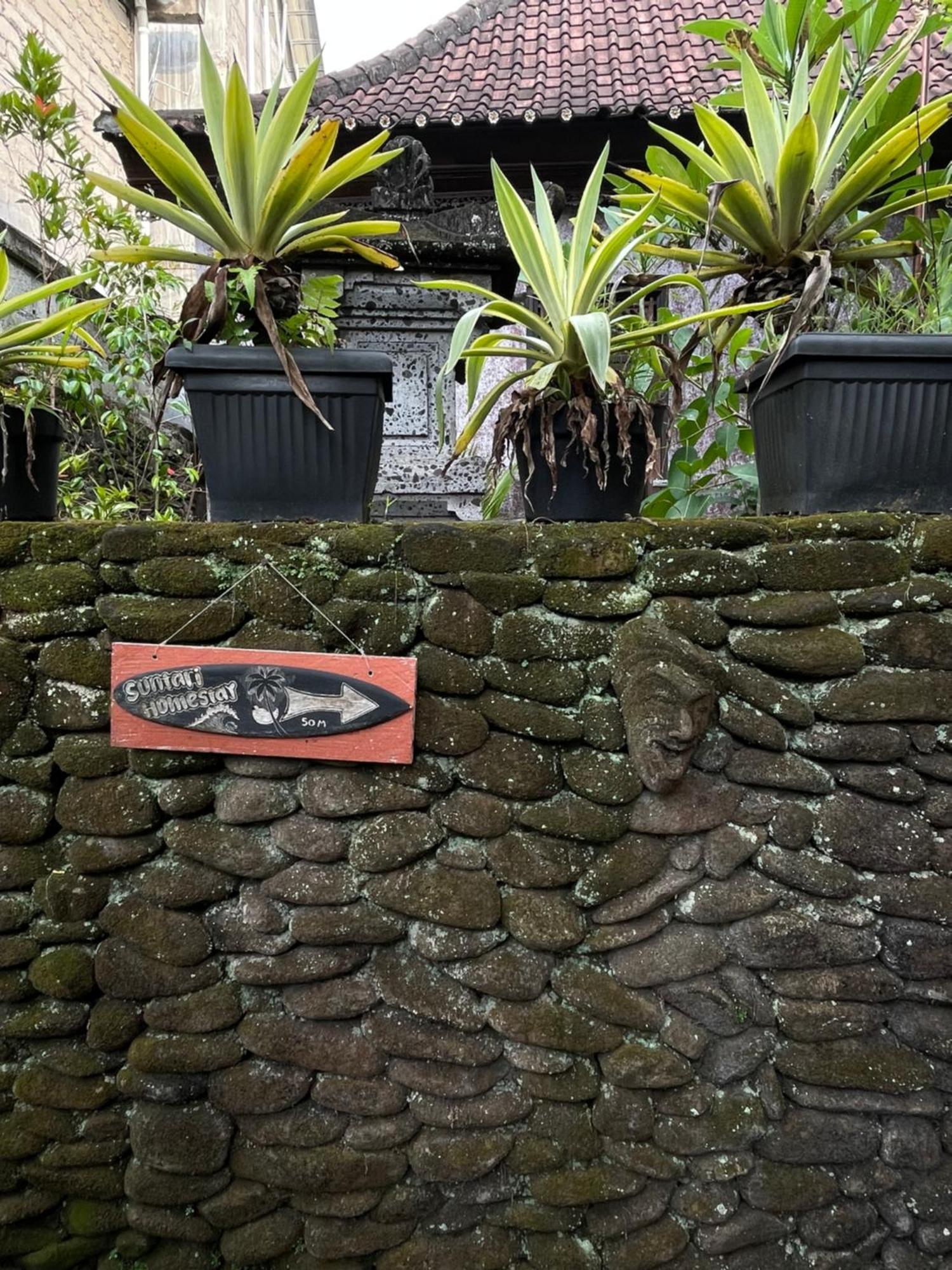 Suntari Homestay Ubud  Exterior photo